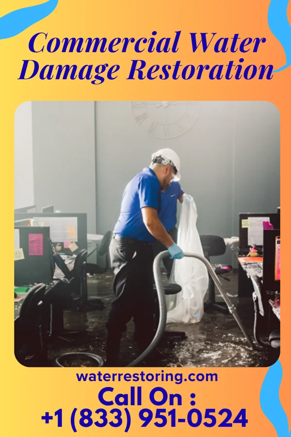 Commercial Water Damage Restoration in Terry, MT