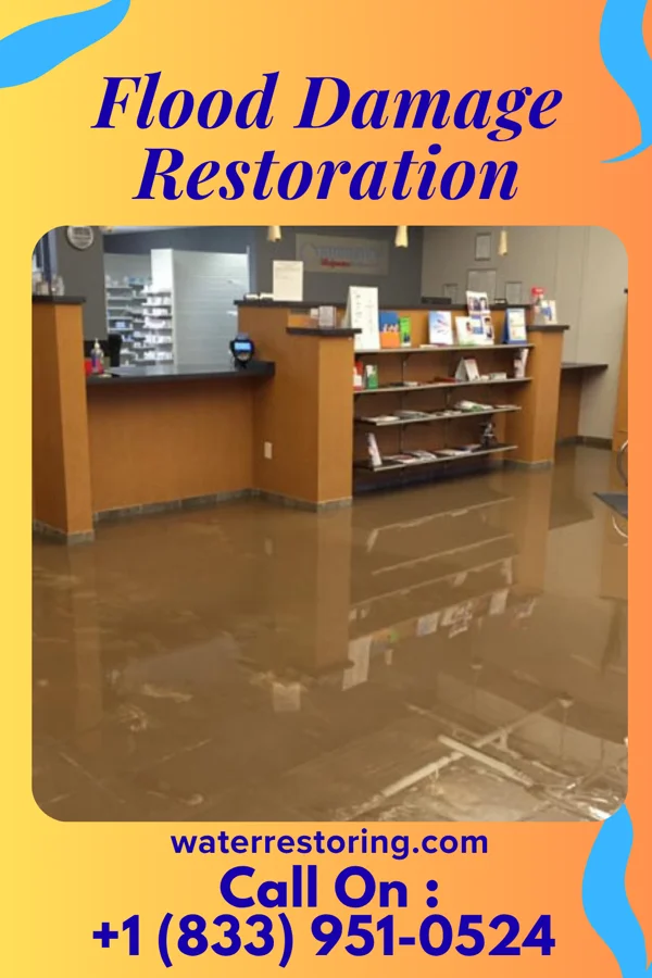 Flood Damage Restoration in Terry, MT