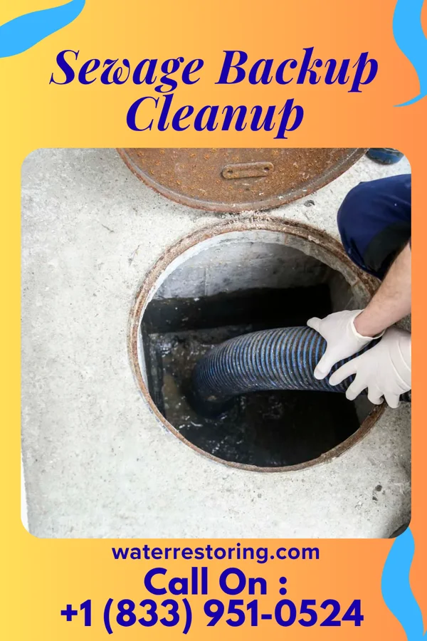 Sewage Backup Cleanup in Terry, MT