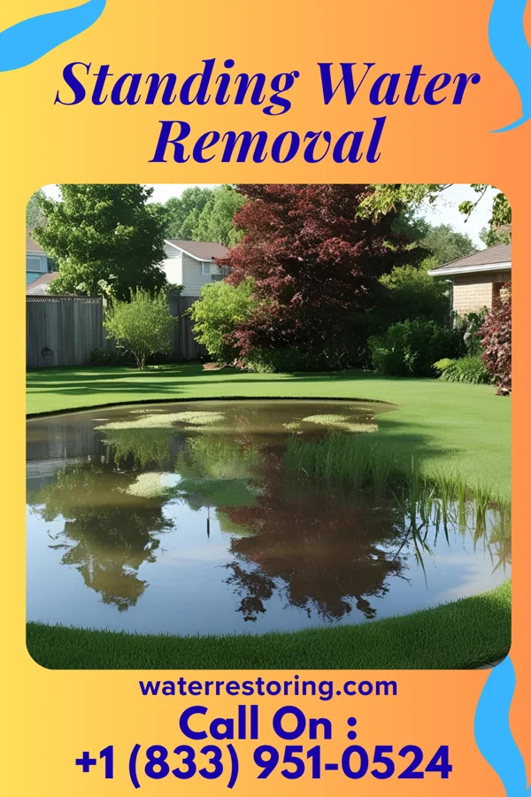 Standing Water Removal in Terry, MT